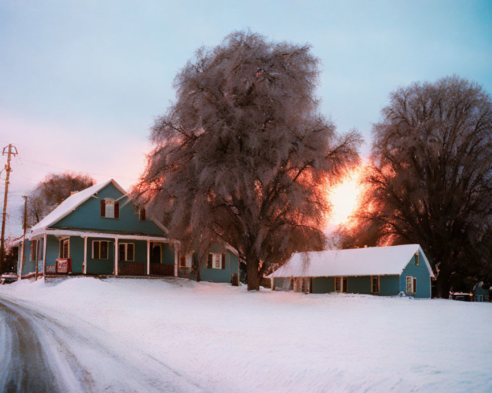 Snowy Dusk Scene: Green House, Frosty Trees, Glowing Sky