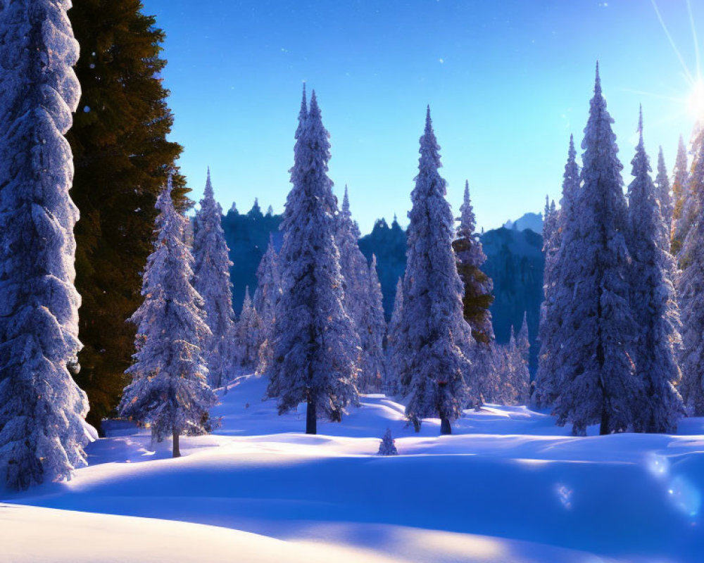 Serene winter forest with snow-covered pine trees & sunbeams
