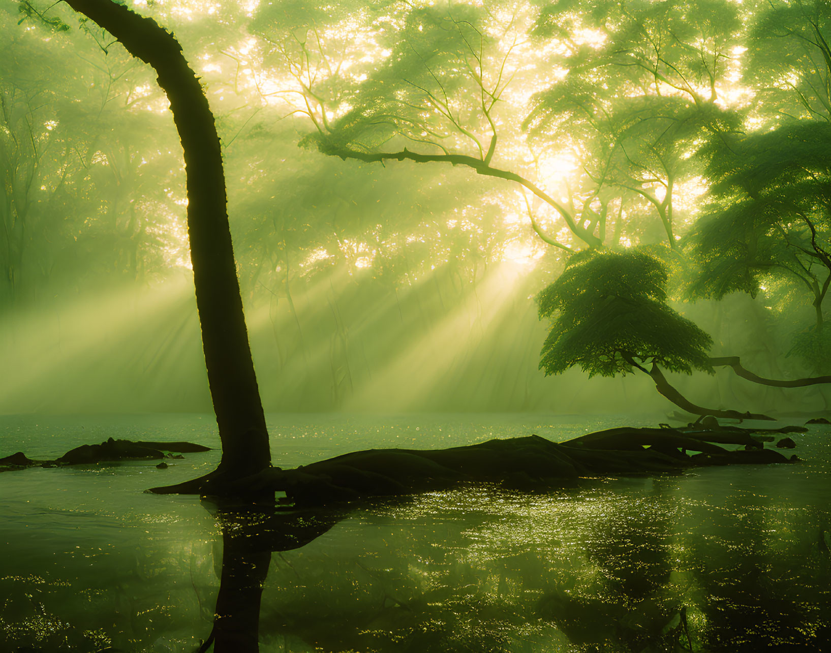 Misty green forest with sunlight beams and serene water