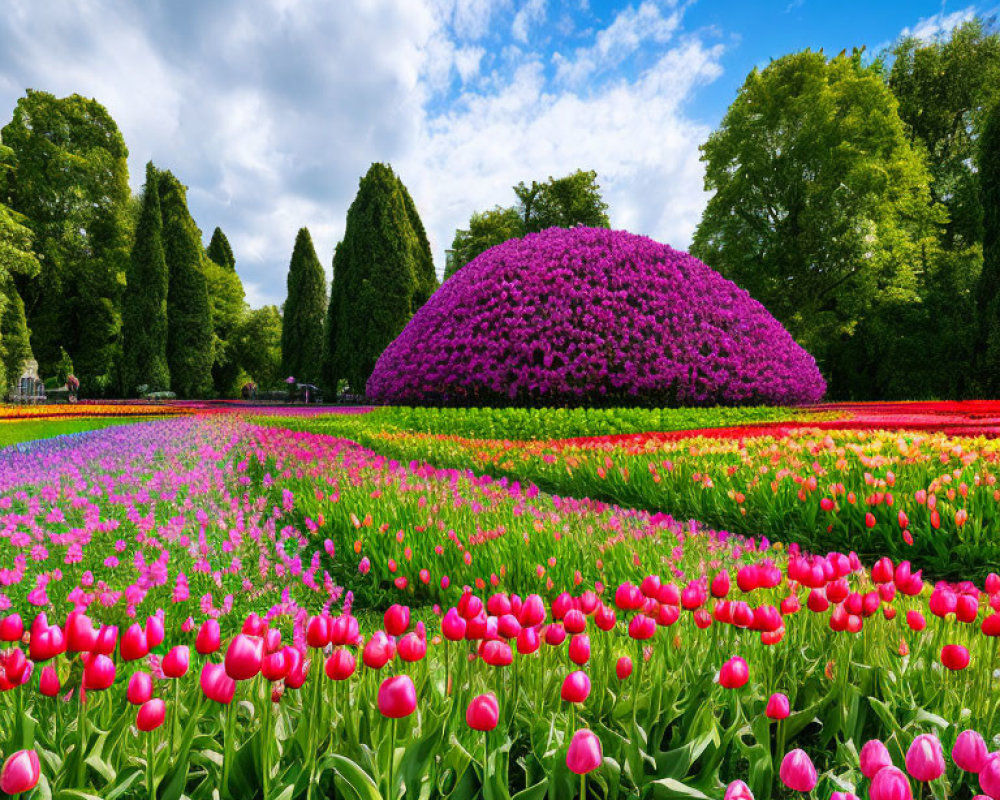 Colorful Garden with Purple Flowers and Tulips under Sunny Sky