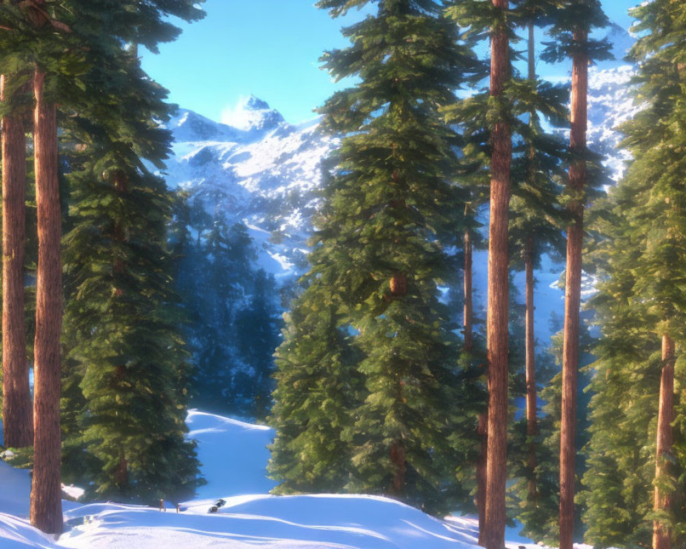 Snowy Path with Tall Evergreen Trees and Sunlit Mountains