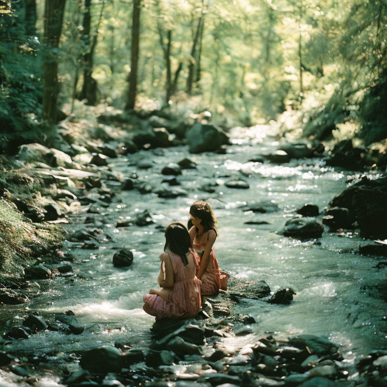 Children sitting on rocks in serene forest stream with sunlight filtering through trees