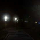 Nighttime park scene with illuminated street lamps, blooming flowers, winding path, and full moon.