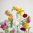 Assorted colorful flowers in transparent vases on soft background