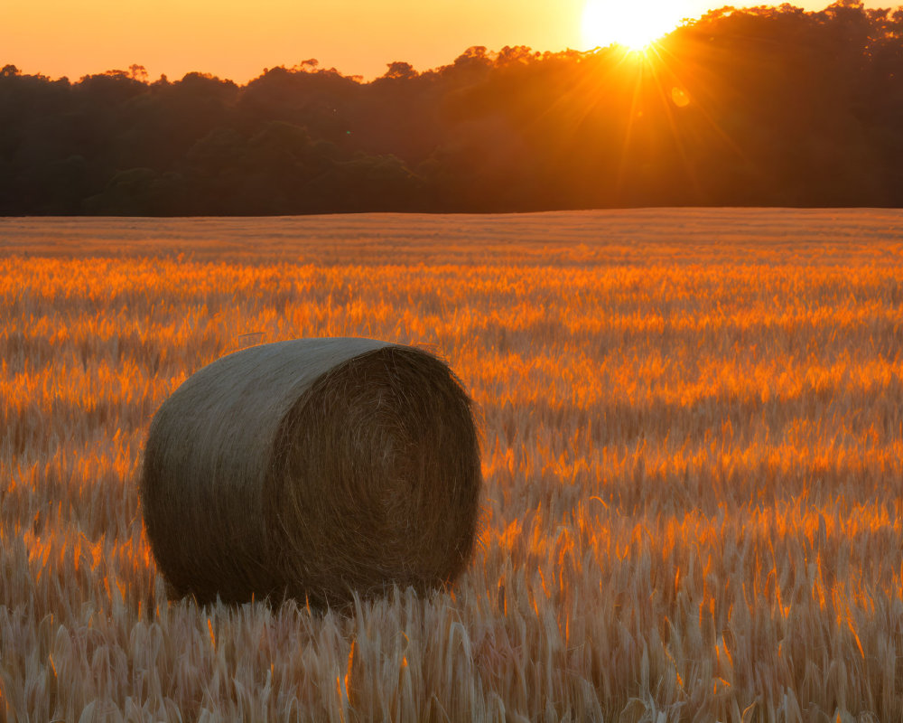 Golden field sunset scene with hay bale and long shadows