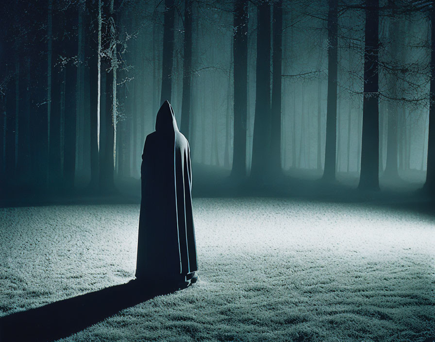 Misty moonlit forest clearing with cloaked figure