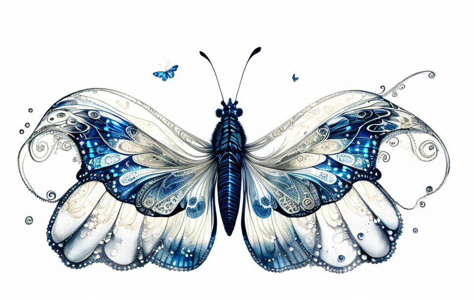 Detailed Blue and White Butterfly Illustration on White Background
