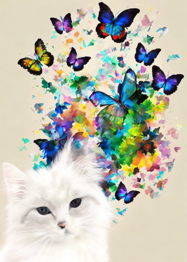 Fluffy white cat with blue eyes and butterflies in colorful setting