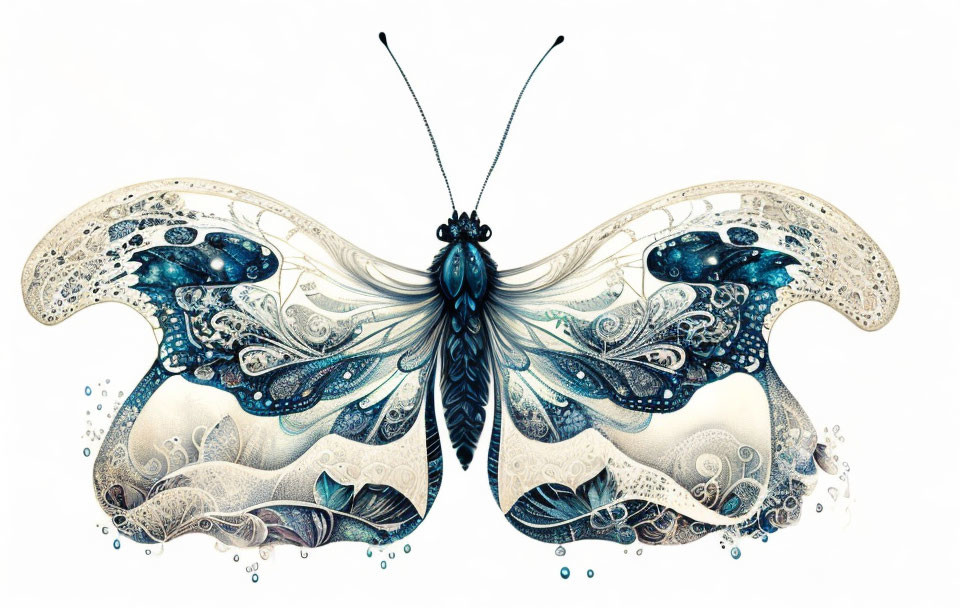 Blue and White Butterfly with Lace-like Patterns in Stylized Artwork