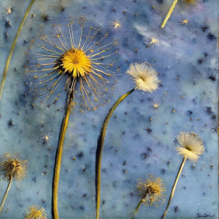 Dandelions Painting: Starry Sky & Seed Dispersal
