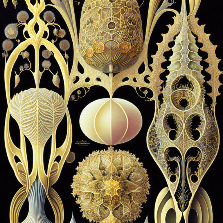 Organic forms and intricate patterns in gold and black art.