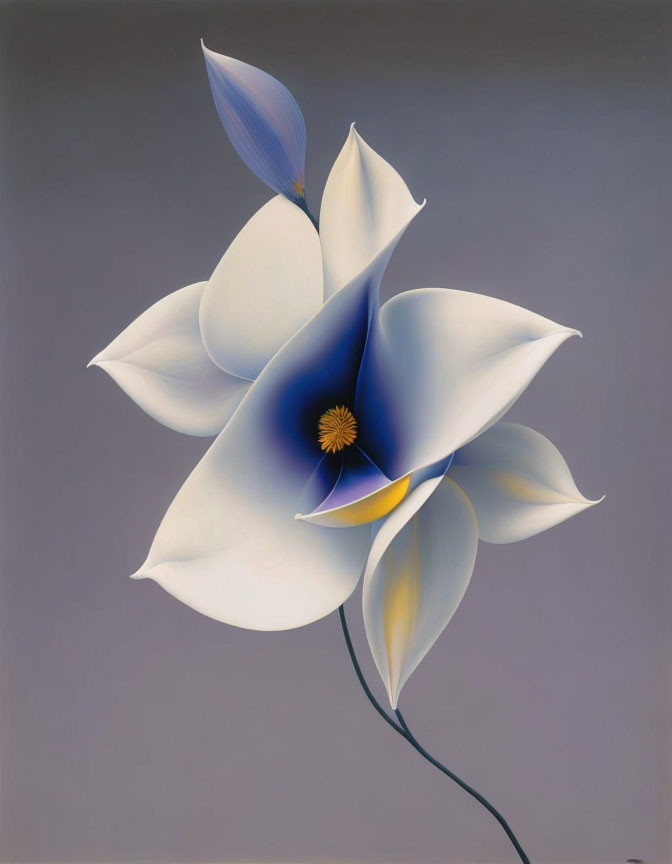 Stylized white flower with blue shades and yellow center on gray background