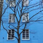 Stylized illustration: Blooming tree, blue house, twilight