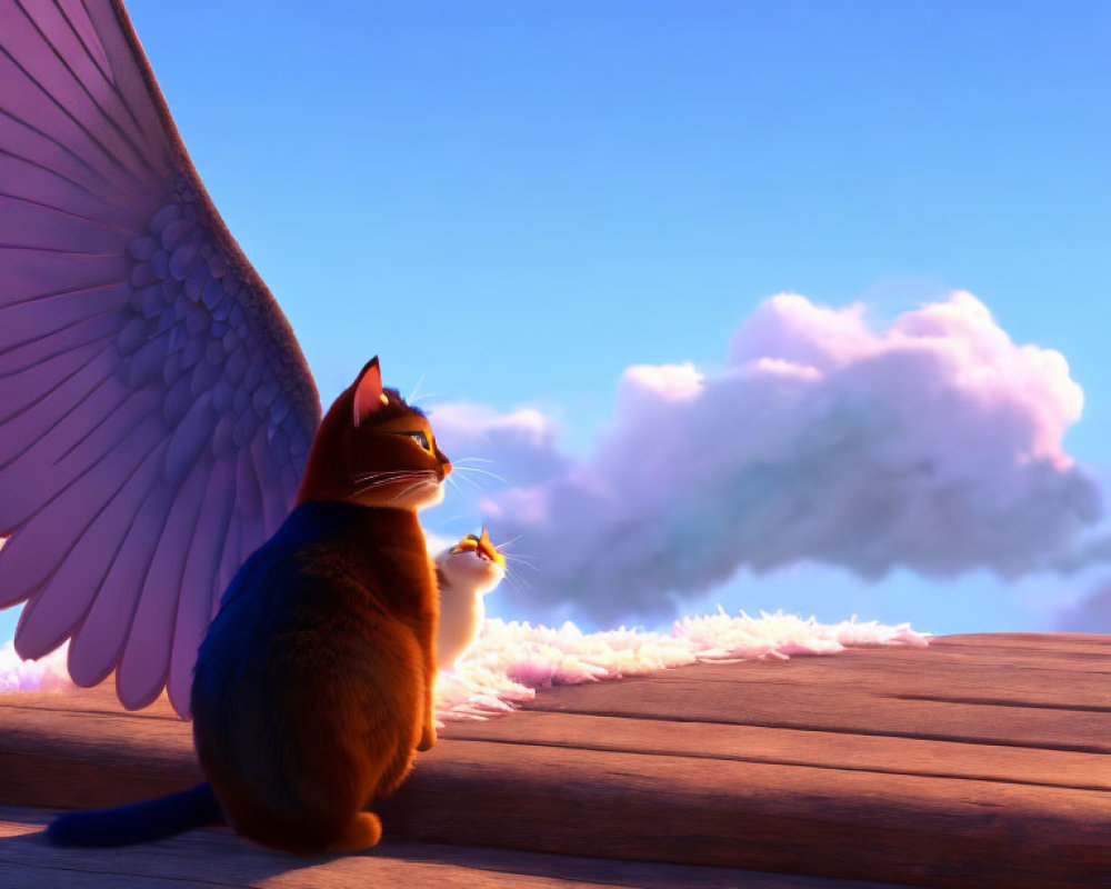 Two cats, one with wings, on wooden surface gazing at sky with clouds