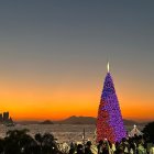 Illuminated Christmas tree in twilight cityscape.