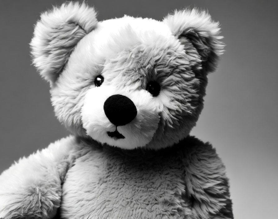 Monochrome close-up of fluffy-eared teddy bear on plain backdrop