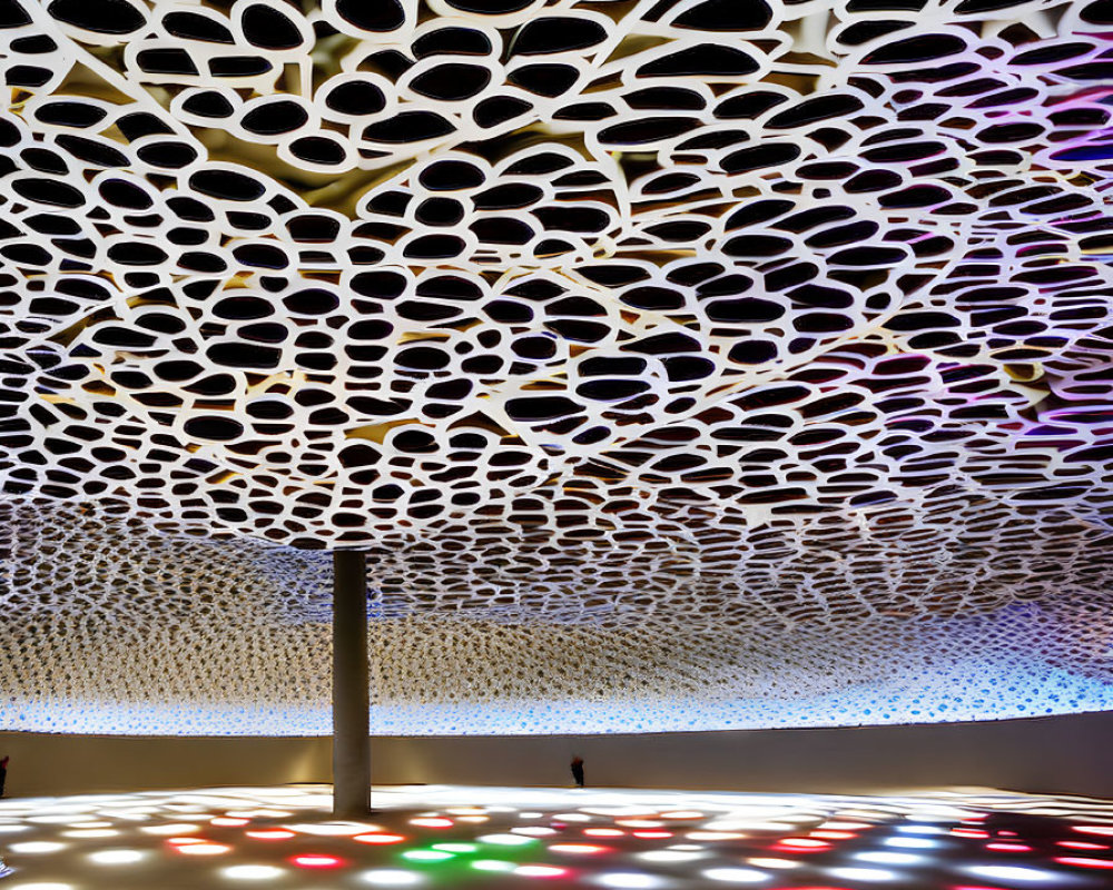 White honeycomb ceiling installation casting colorful light patterns