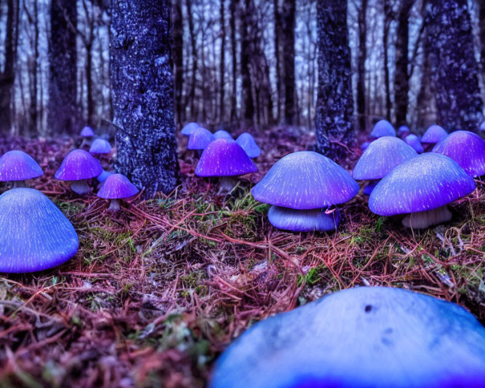 Enchanting forest floor with blue and purple mushrooms in twilight ambiance