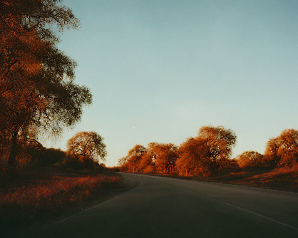 Scenic landscape with winding road and trees at sunrise or sunset