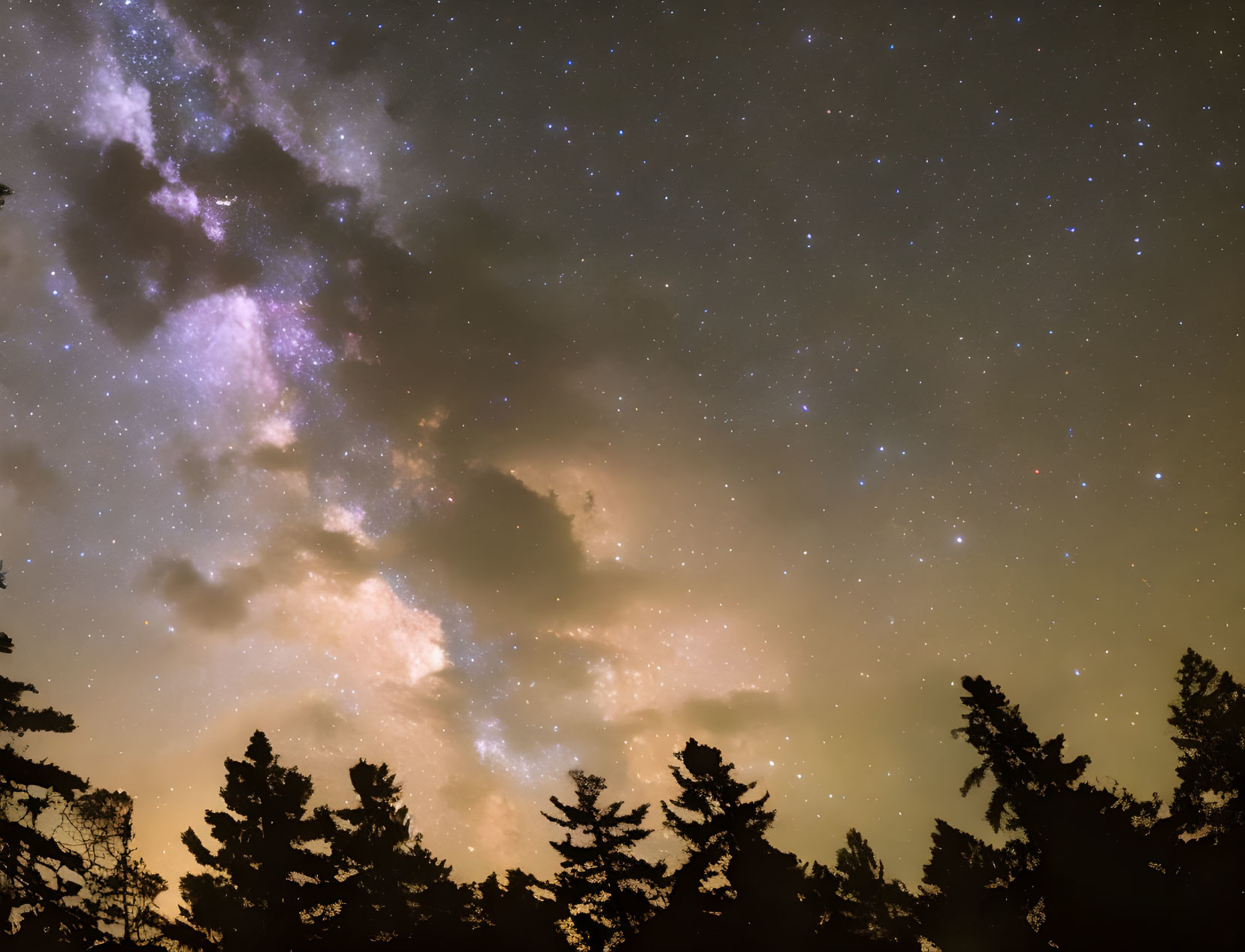 Night sky with Milky Way over forest trees.
