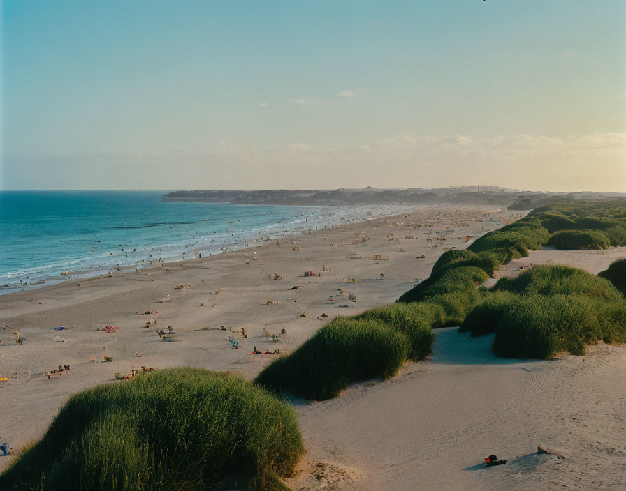 Scenic sandy beach with scattered people, green shrubby dunes, calm blue ocean, and clear