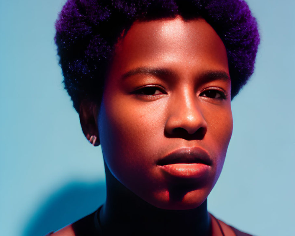 Striking purple afro against blue background with sharp shadow