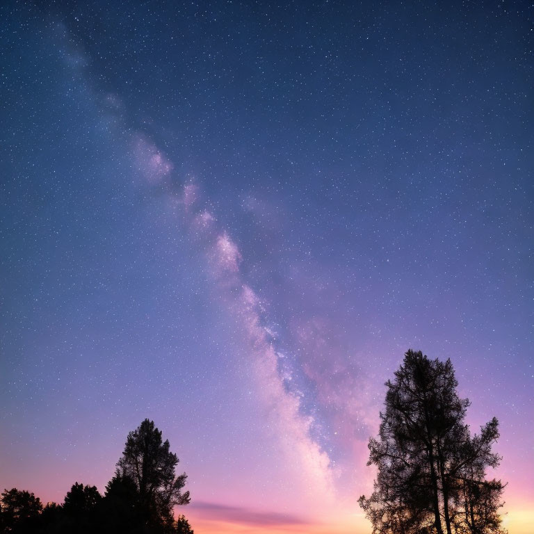 Twilight sky with stars and Milky Way over silhouetted trees