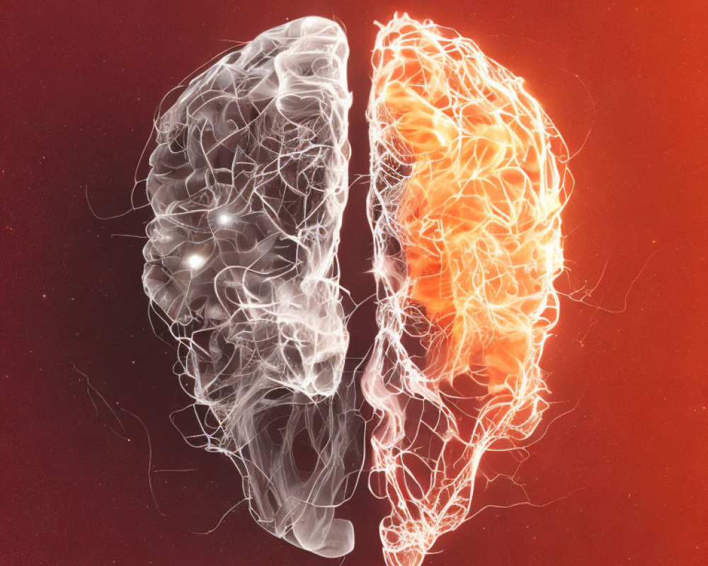 Abstract Human Brain Split in Two with Glowing White and Orange-Red Halves