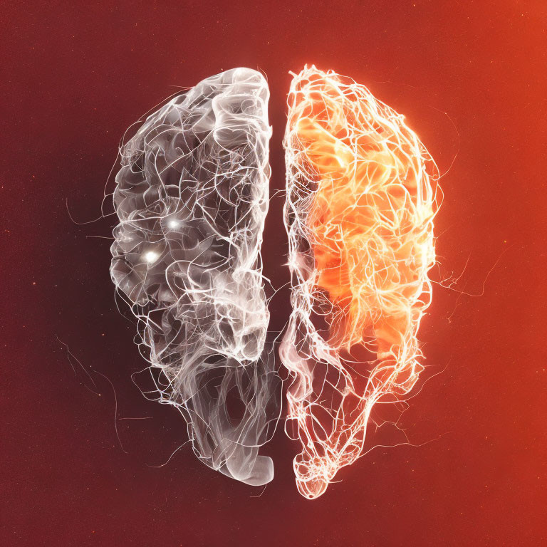 Abstract Human Brain Split in Two with Glowing White and Orange-Red Halves