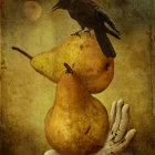 Raven perched on stacked pears with gold wallpaper backdrop