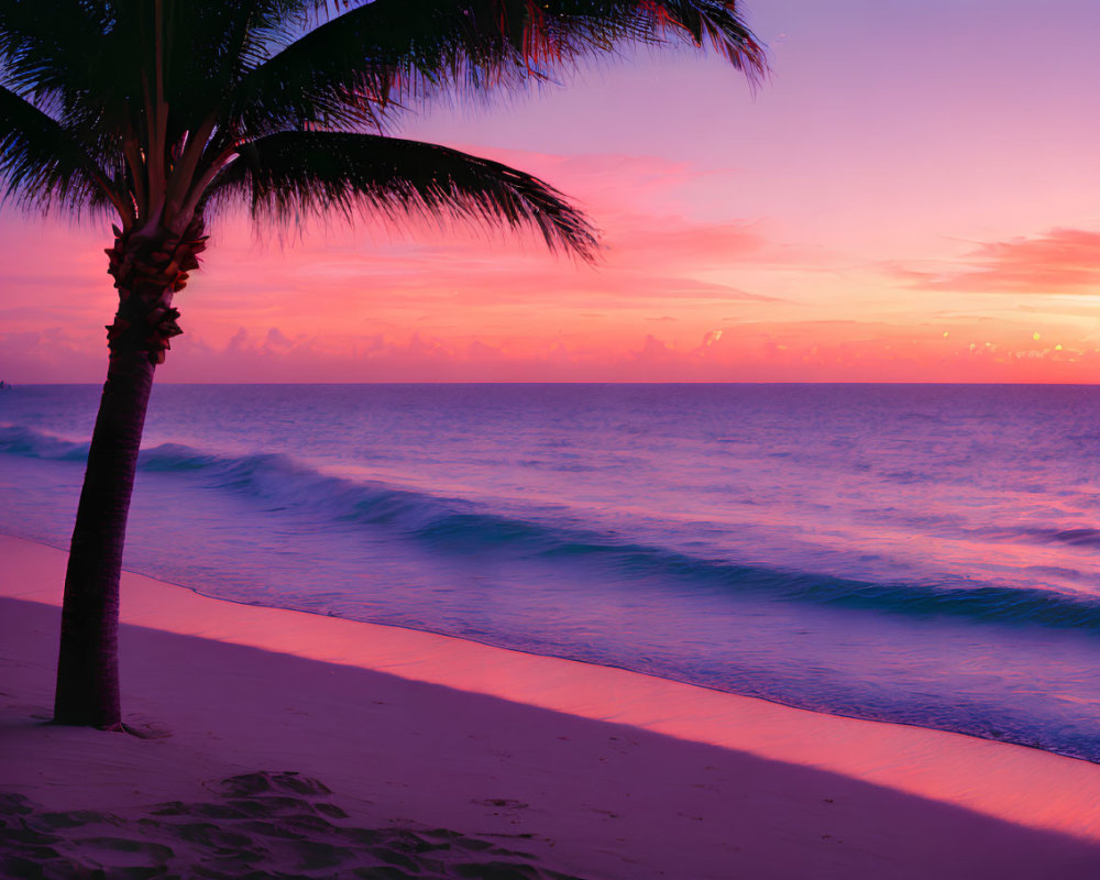 Tranquil beach sunset with pink and purple skies, palm tree silhouette, and ocean waves.