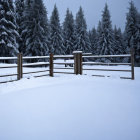 Snow-covered wooden fence and misty pine trees in serene winter scene