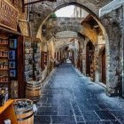 Cobblestone Passage with Bookshelves and Dome View