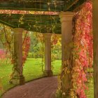 Tranquil garden pathway with pink flowering vines and pergola.