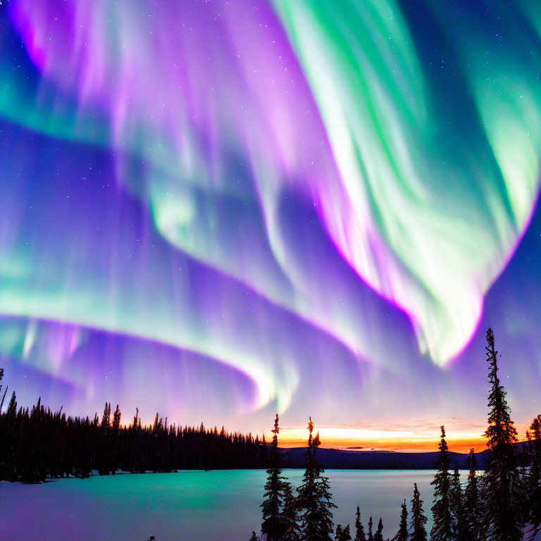 Spectacular purple and green aurora borealis over snowy landscape