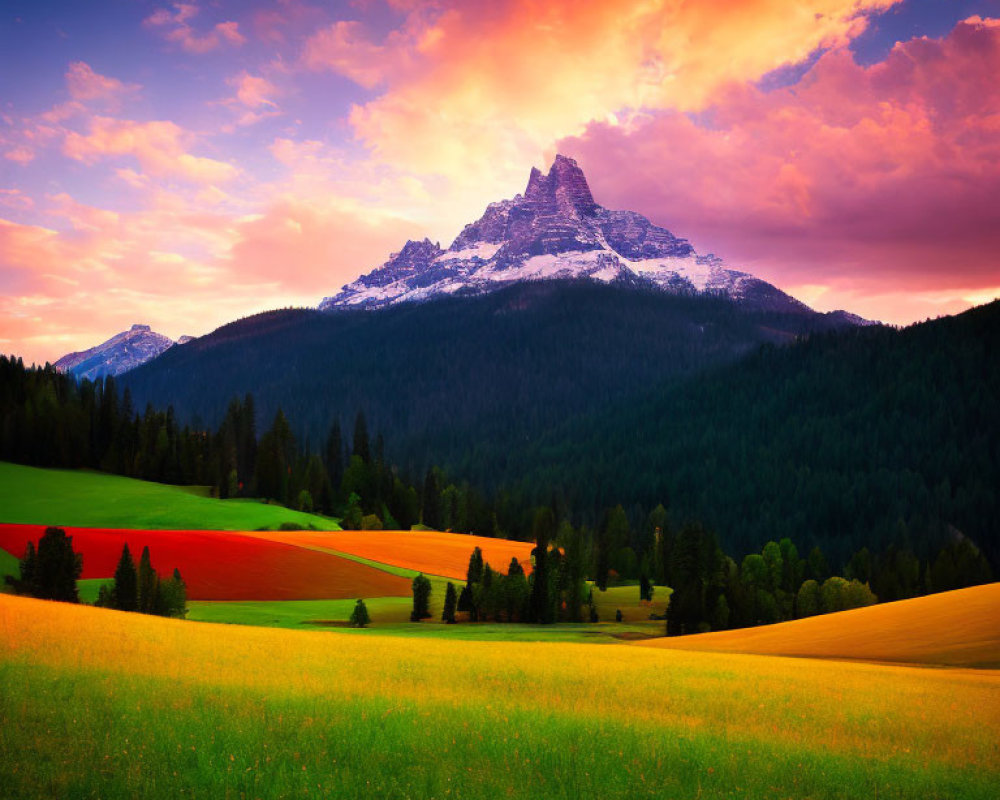 Vivid sunset over snow-capped mountain and pine forests