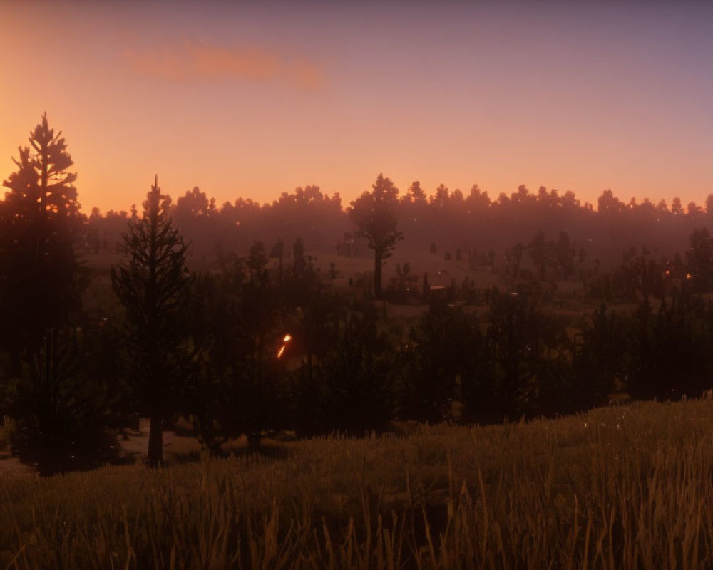 Golden sunset over dense pine forest and tall grass field