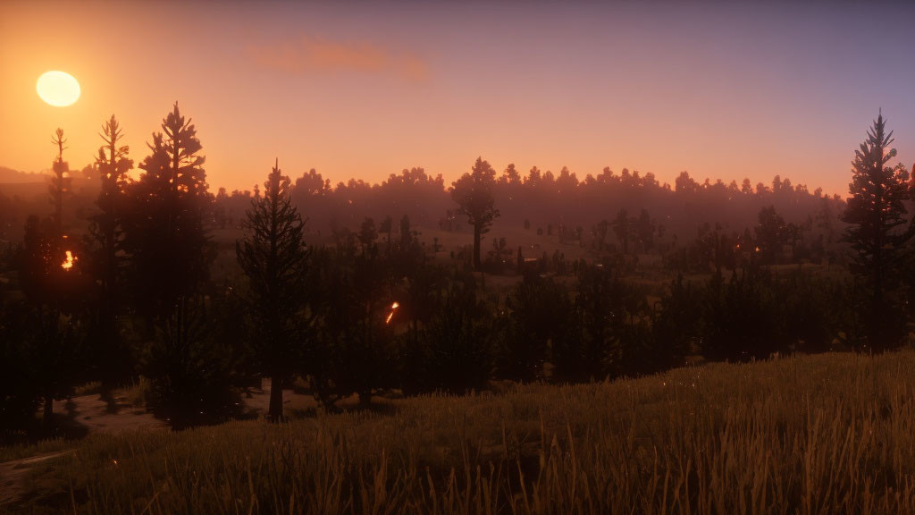 Golden sunset over dense pine forest and tall grass field