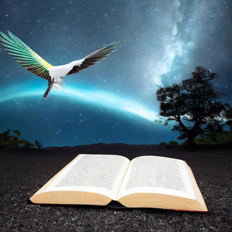 Open book on dark landscape with starry sky and aurora borealis, colorful bird flying overhead
