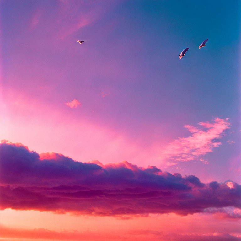 Colorful sunset sky with dark clouds and flying birds.