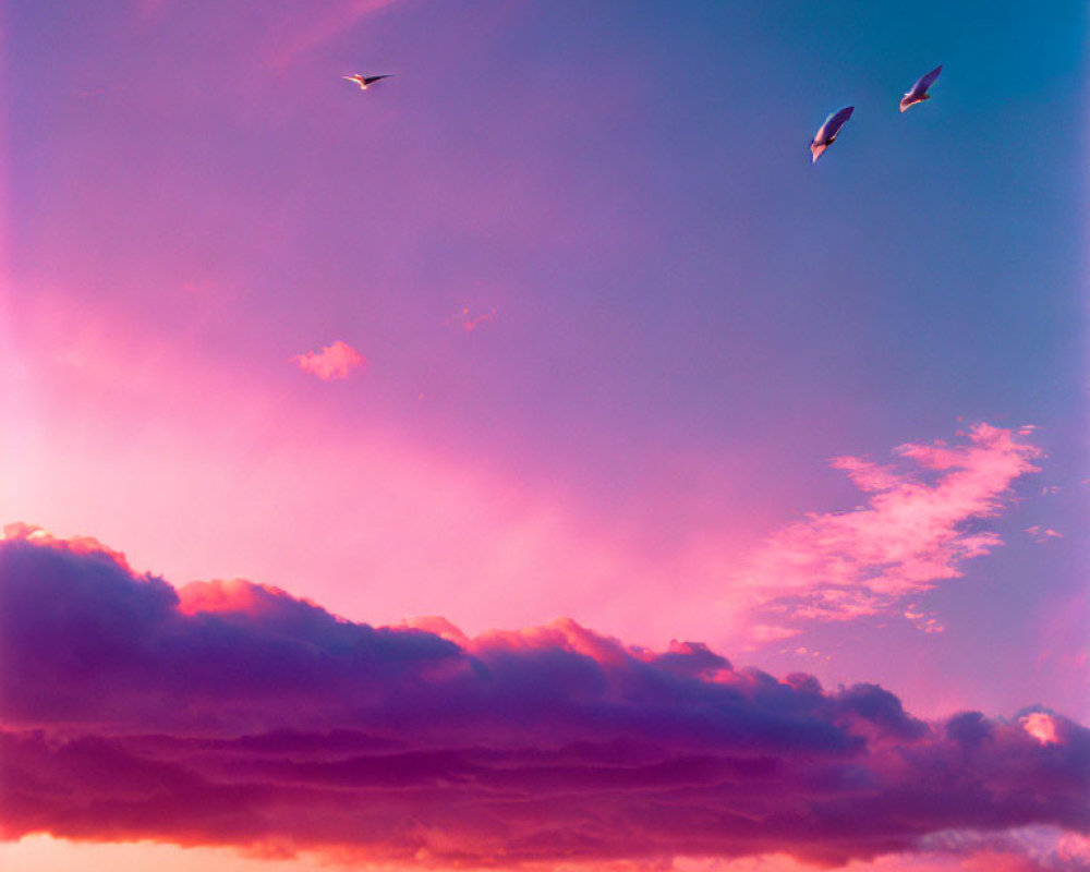 Colorful sunset sky with dark clouds and flying birds.