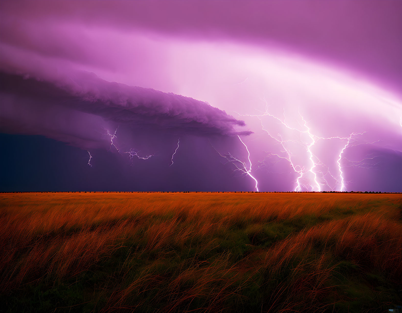 Vibrant Purple Skies and Lightning Strikes Over Golden Field