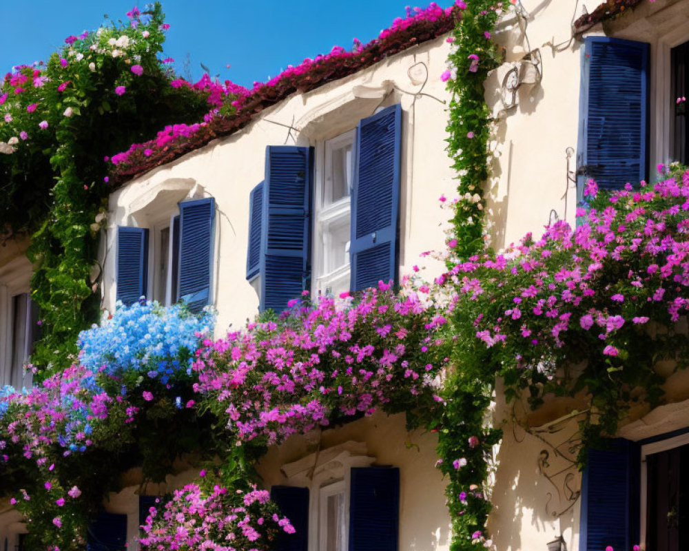 Charming Building with Blue Shutters and Vibrant Flowers