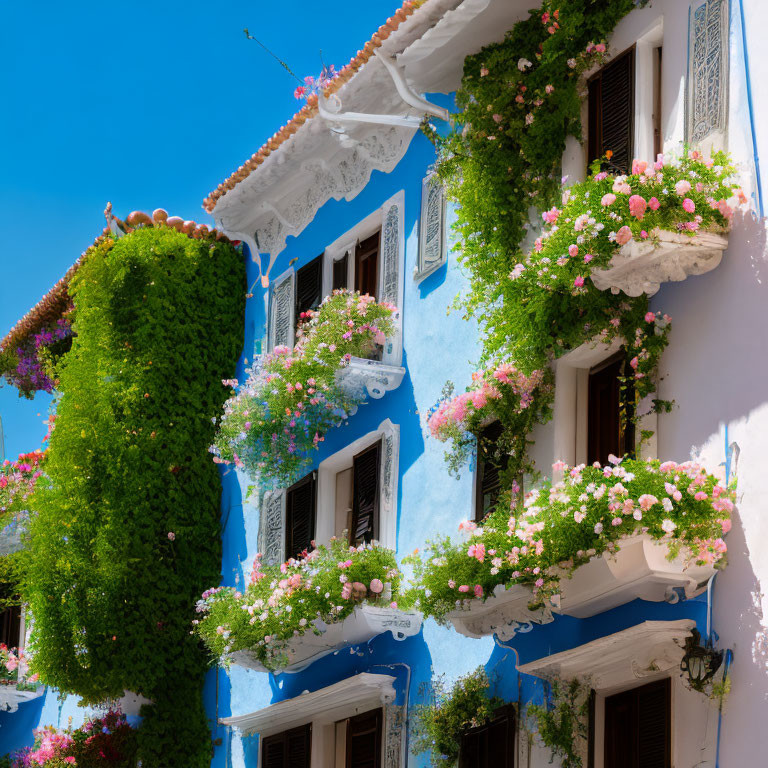 Blue building with green vines and pink flowers under blue sky