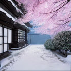 Snow-covered street with wooden buildings and cherry blossom trees in winter.