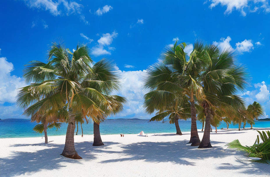 White Sand Tropical Beach with Palm Trees and Turquoise Sea