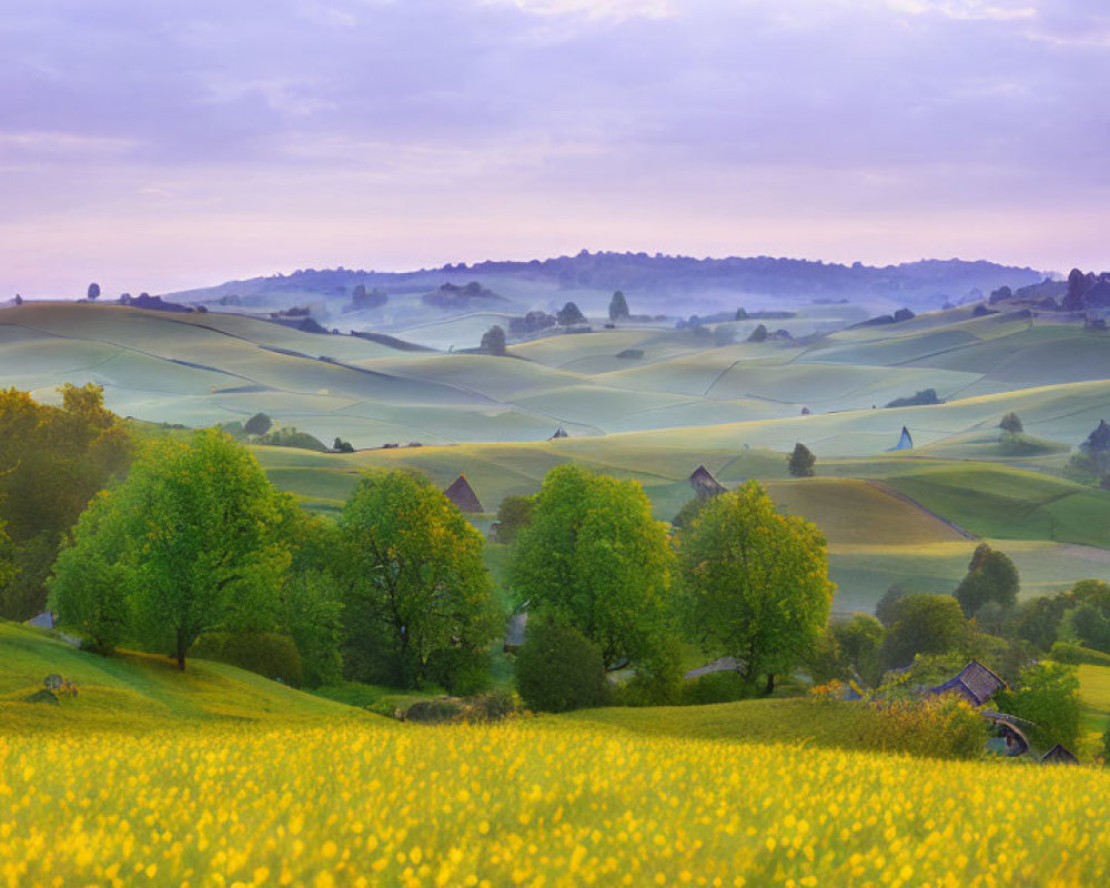 Green fields, trees, and wildflowers in misty morning landscape