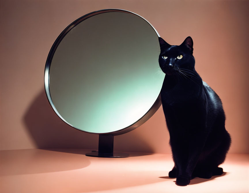 Black cat beside round mirror with shadow and luminous eyes