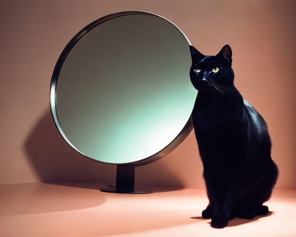 Black cat beside round mirror with shadow and luminous eyes