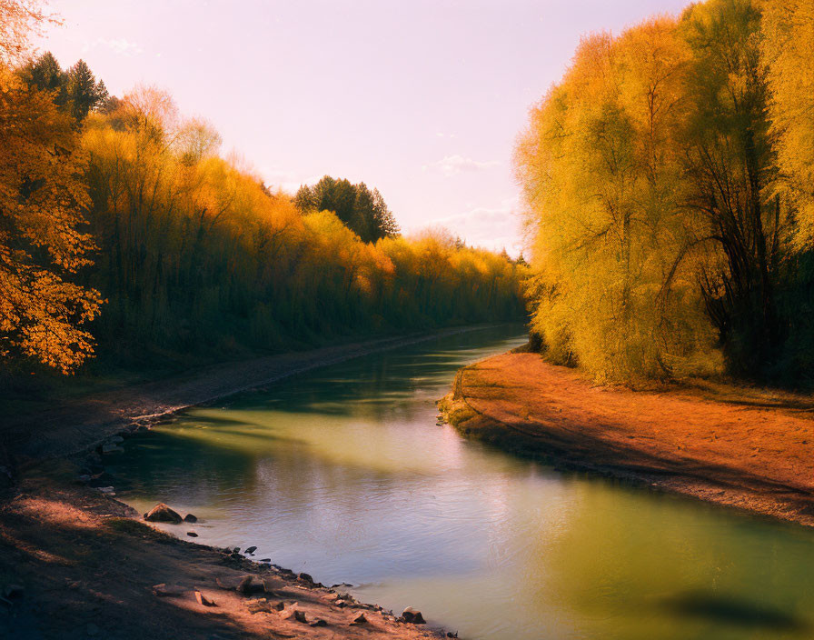 Tranquil River in Forest with Golden Foliage at Sunset